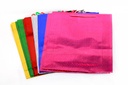 BOLSA DE REGALO HOLOGRAMA No.4 GRUESA [PAC70495 / PAC30050-2739]