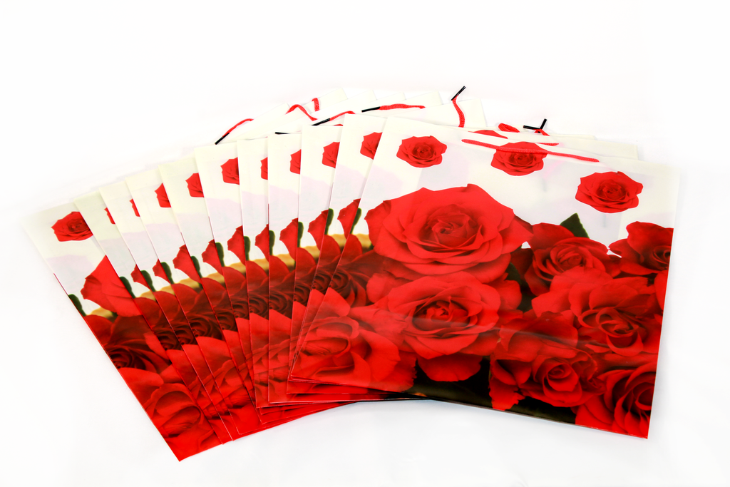 BOLSA DE REGALO PP 33*27*9 CM PLASTICA No.4 [PAC80007-4142]