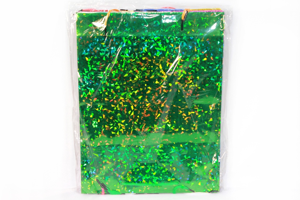BOLSA DE REGALO HOLOGRAMADA No. 2 GRUESA  CAJA X 480 UNDS [PAC30049-2738]