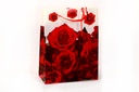 BOLSA DE REGALO TRASLUCIDA 24*18*7 CM PLASTICA No.2 [PAC80010-4145]