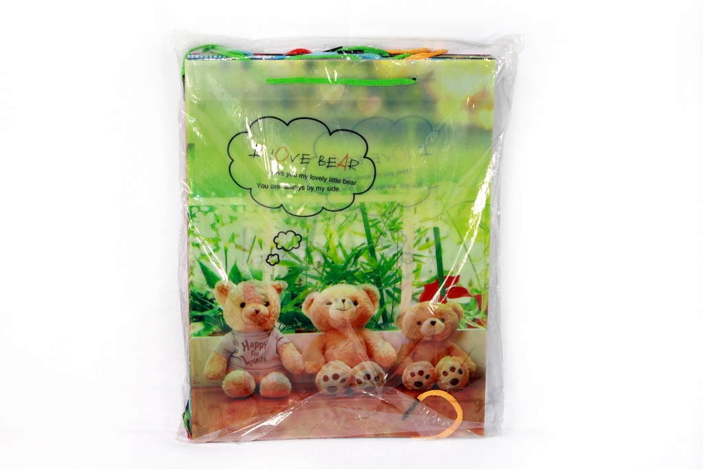 BOLSA DE REGALO TRASLUCIDA  30*23*8 CM PLASTICA No.3 [PAC80011-4146]