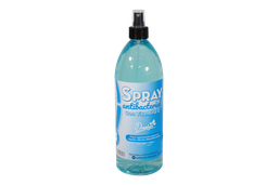 [CA5069] SPRAY ANTIBACTERIAL  DAULYN X 1000CC CAJA X 12U [PT-0162]