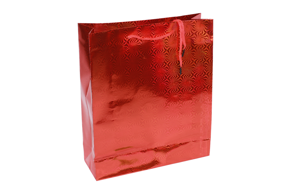 BOLSA DE REGALO HOLOGRAMA  No.3 GRUESA []