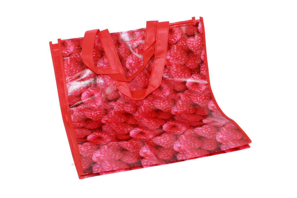 BOLSA DE MERCADO  (25"X21") [PAC30209-1921]