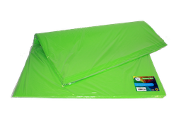 [FO3583] FOAMY PLIEGO AH ROYAL VERDE LIMON (PAQUETE X10UNDS) [AH50102215/PAC40255-3583]